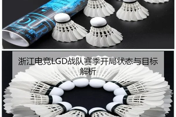 浙江电竞LGD战队赛季开局状态与目标解析