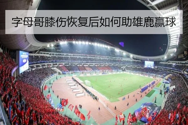 字母哥膝伤恢复后如何助雄鹿赢球